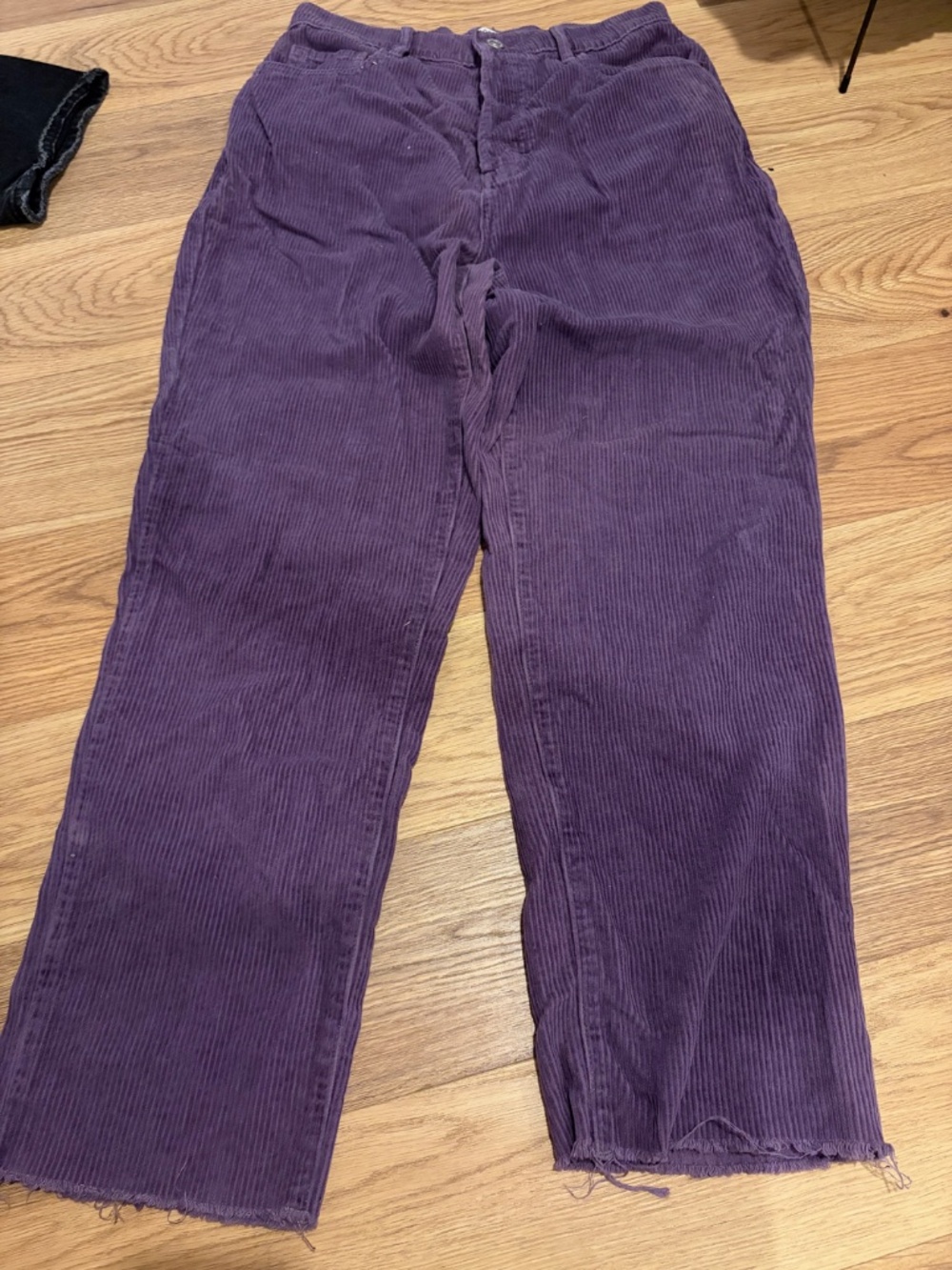 Purple Pacsun Baggy Corduroy Pants